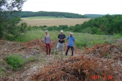 Réunion sur le site de la futire reforestation pédagogique biodverse de ReulleVergy le 26 juin 2017.