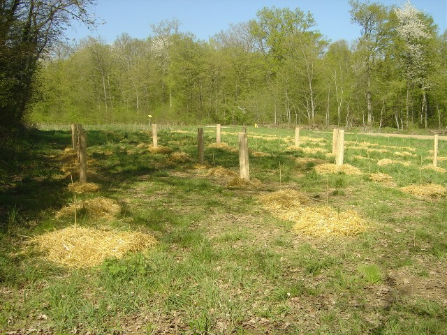 cfpb St Julien avril 2011 012 (Small)