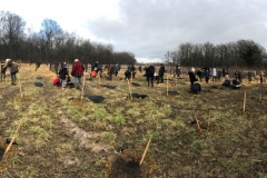 Afforestation-pédagogique-biodiverse-Saint-Julien-10-janvier-2020-2-Small