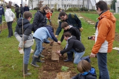 Engagement des collégiens du collège Saint François de Sales à Dijon sur le site de la Toison d'Or à Dijon. Année scolaire 2014-2015.