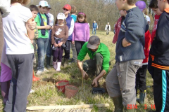 cfpb-Saint-Germain-03-2014-004-Small