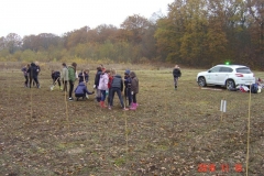 Pose des jalons par les écoliers de la classe de Magali GUILLOT. Création forestière pédagogique biodiverse de Saint Julien.