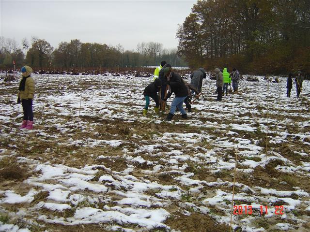 Creusement des trous. 22 novembre 2013. Création forestière pédagogique biodiverse de Saint Julien.