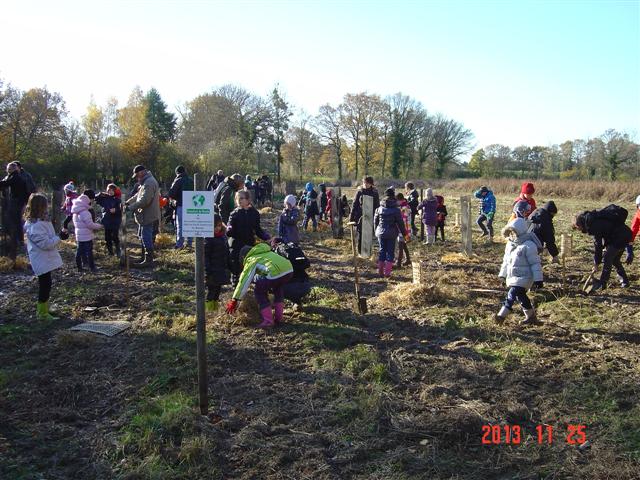 Plantation du quatrième bosquet biodivers. 25 novembre 2013. Création forestière pédagogique biodiverse de Saint Julien.