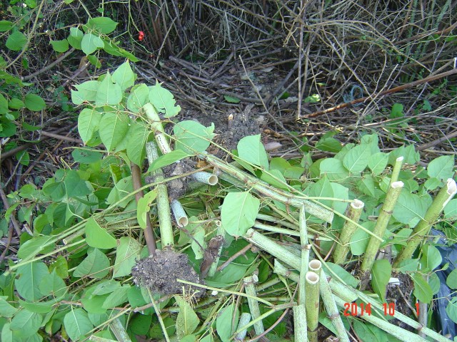 02-10-14 cfpb St Julien 003 (Small)