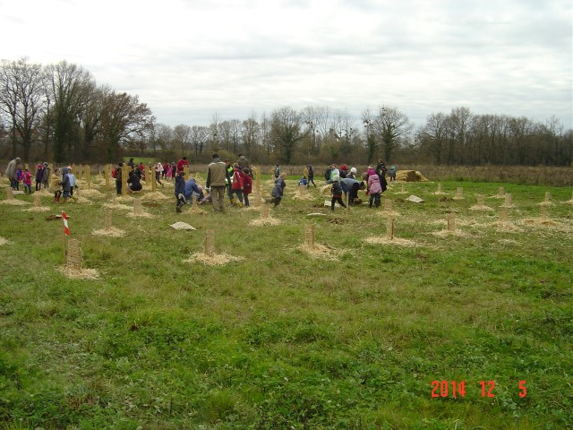 Plantation cfpb St Julien 05-12-2014 002 (Small)