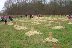 Plantation-cfpb-St-Julien-05-12-2014-004-Small