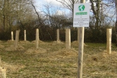 Plantation du bosquet biodivers le  5 décembre 2011. Création forestière pédagogique biodiverse d'Arnay le duc.