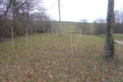 Pose des jalons le 2 décembre 2012. Création forestière pédagogique biodiverse d'Arnay le Duc