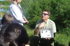 Présentation du Damier du Frêne. Création forestière pédagogique biodiverse d\'Arany le Duc.13 mai 2011