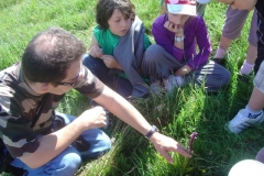 Vincent GILLET, membre de l\'ONGE Forestiers du Monde® présente des orchidées aux écoliers. Création forestière pédagogique biodiverse d\'Arnay le duc 13 mai 2011.