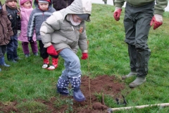 Démonstration de plantation d\'un plant en godet par Jean-Noël CABASSY de l\'ONGE Forestiers du Monde®. jeudi 25 novembre 2010. Création forestière pédagogique biodiverse d\'Arnay le Duc.