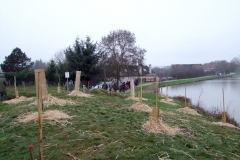 Plantation du premier bosquet biodivers. Création forestière pédagogique biodiverse d'Arnay le Duc. Jeudi 25 novembre 2010.