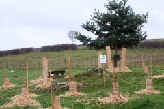 Plantation du premier bosquet biodivers. Création forestière pédagogique biodiverse d'Arnay le Duc. Jeudi 25 novembre 2010.