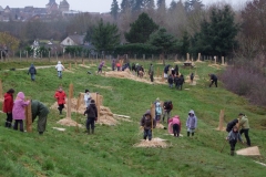 Les plus grands écoliers s\'engagent. Création forestière pédagogique biodiverse d\'Arnay le Duc  25 novembre 2010.