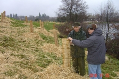 Installation des bosquets 25-11-2010 023 (Small)