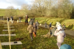 plantation second bosquet 5-12-2011 001 (Small)