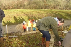 plantation second bosquet 5-12-2011 003 (Small)