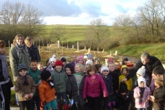 plantation second bosquet 5-12-2011 004 (Small)