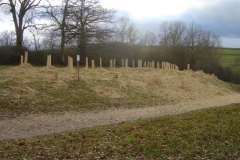 plantation second bosquet 5-12-2011 009 (Small)