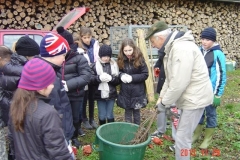 Pralinage des plants forestiers par Bernard LECLERCQ. Création forestière pédagogique biodiverse le 29 novembre 2013.