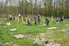 plantation Clenay 14-11-2014 002 (Small)