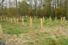 plantation Clenay 14-11-2014 003 (Small)