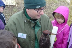 Présentation d'un pic noir (Dryocopus martius) aux écoliers sur le site de la création forestière pédagogique biodiverse de Morey Saint Denis Vendredi 24 novembre 2017.