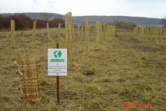 Le huitième bosquet biodivers est planté. Vendredi 24 novembre 2017. Création forestière pédagogique biodiverse de Morey Saint Denis.