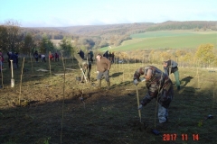 Creusement des 100 trous par les parents bénévoles. Reforestation pédagogique biodiverse de Reulle Vergy. 14 novembre 2017.