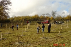 Plantation-St-Germain-18-11-2014-003-Small