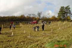 Plantation-St-Germain-18-11-2014-004-Small