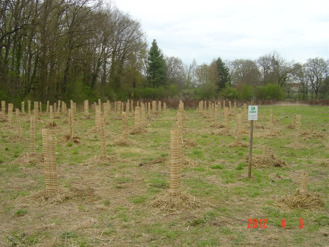 cfpb St Julien 05-04-2012 006 (Small)