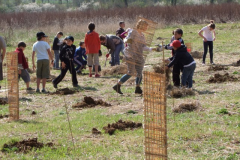 cfpb-St-Julien-30-04-2012-011-Small