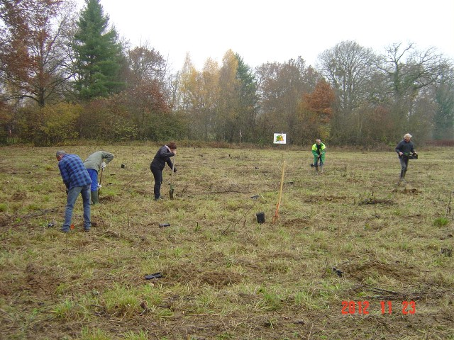 Plantation St Julien 23-11-2012 001 (Small)