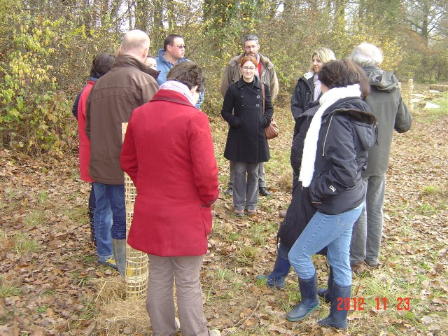 Plantation St Julien 23-11-2012 007 (Small)