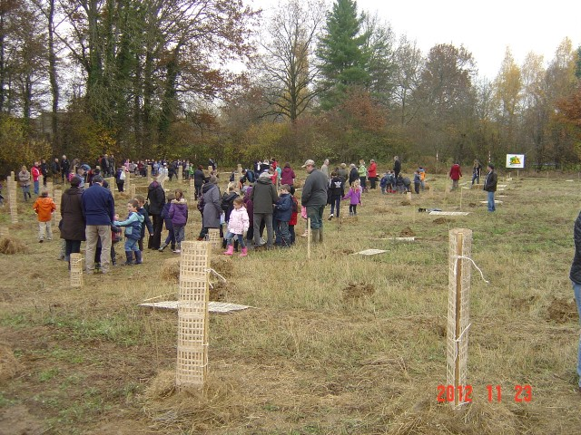 Plantation St Julien 23-11-2012 009 (Small)