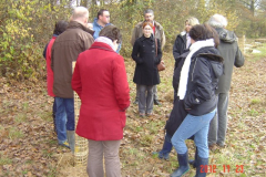 Plantation-St-Julien-23-11-2012-007-Small