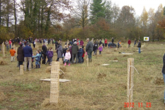 Plantation-St-Julien-23-11-2012-009-Small-1