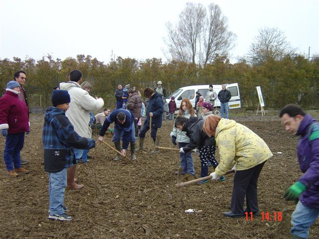 cfpb Ouges 1 -Small-