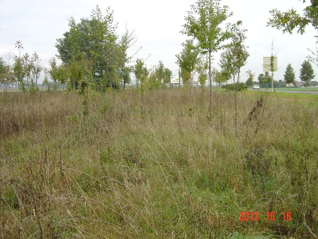 cfpb Ouges 16-10-2013 001 (Small)