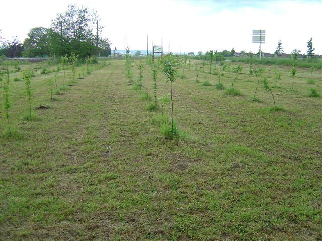 cfpb Ouges 4 -Small-