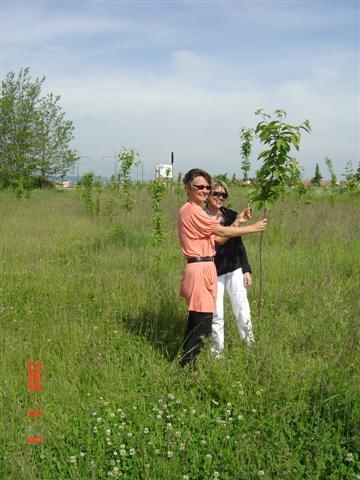 cfpb Ouges 5 -Small-