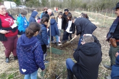 Participation de M. le Maire José ALMEIDA à la plantation de la futire forêt urbaine de Longvic le 14 février 2020