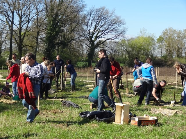 Plantation 6 avril 2014 012 (Small)