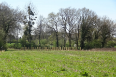 Plantation-6-avril-2014-032-Small