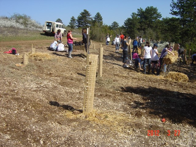 cfpb Beaune 025 (Small)