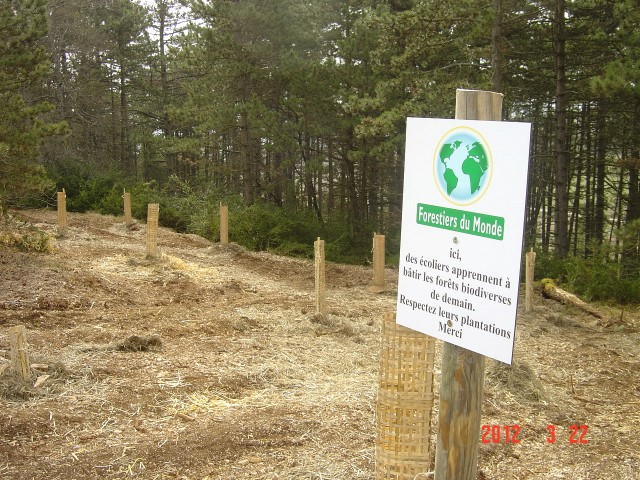 cfpb Beaune 22-03-12 005 (Small)