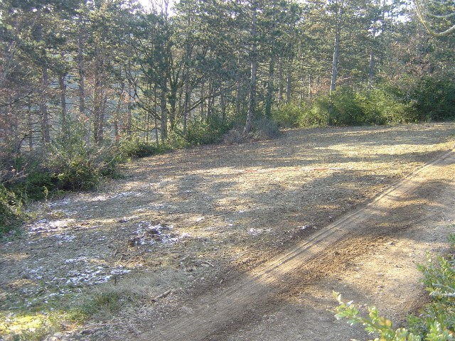 placettes 05-02-2012 002 (Small)