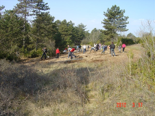 plantations 19 20 mars 2012 002 (Small)